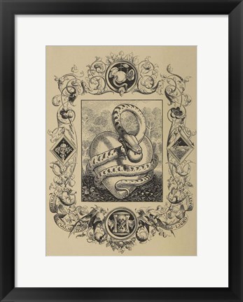 Framed Serpent Print