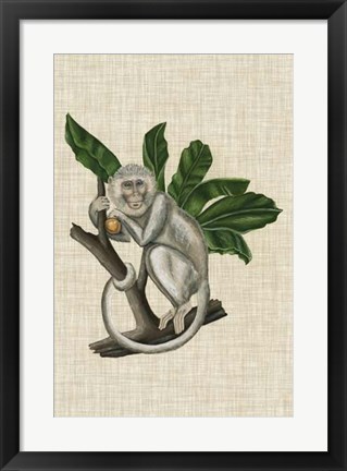 Framed Canopy Monkey II Print