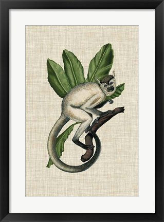 Framed Canopy Monkey IV Print