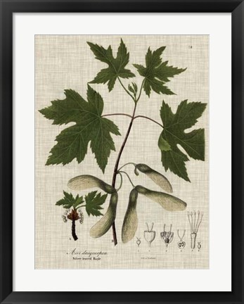 Framed Linen &amp; Leaves II Print