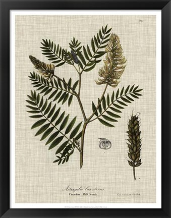 Framed Linen &amp; Leaves III Print