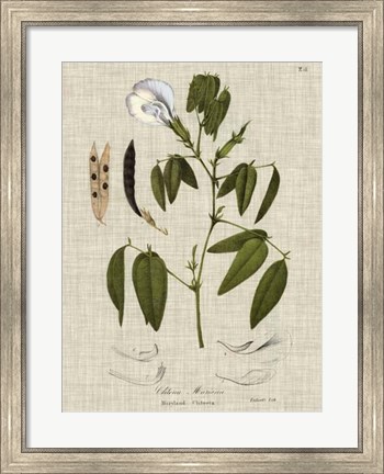 Framed Linen &amp; Leaves IV Print