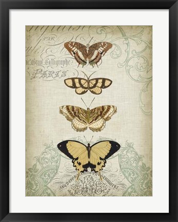 Framed Cartouche &amp; Butterflies II Print