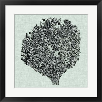 Framed Serene Coral IV Print