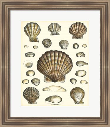 Framed Of Sea and Shore III Print