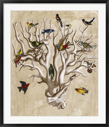 Framed Ornithologist&#39;s Dream I Print