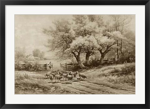 Framed Herding Sheep Print