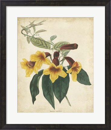 Framed Tropical Floral VI Print