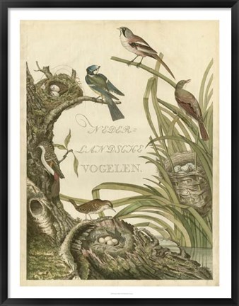 Framed Sanctuary for Birds Print