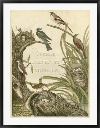 Framed Sanctuary for Birds Print