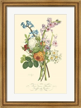 Framed Plentiful Bouquet IV Print