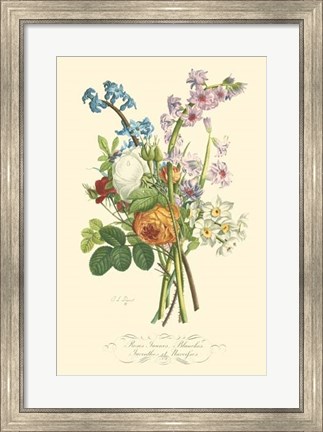 Framed Plentiful Bouquet IV Print