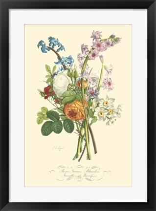 Framed Plentiful Bouquet IV Print