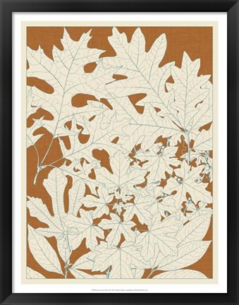 Framed Leaves from Nature II Print