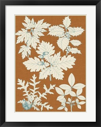 Framed Leaves from Nature IV Print