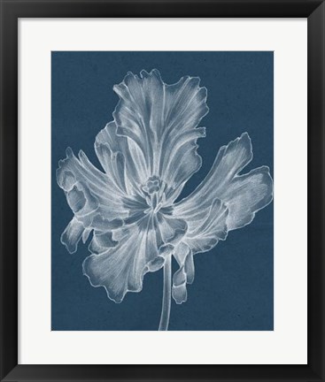 Framed Monochrome Tulip II Print