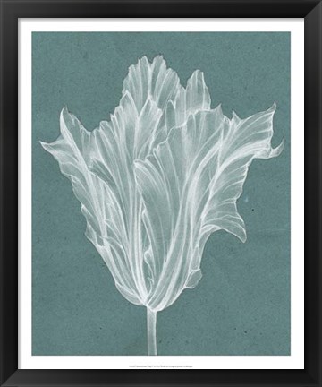 Framed Monochrome Tulip V Print