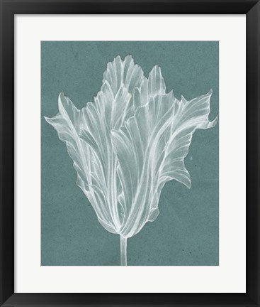 Framed Monochrome Tulip V Print