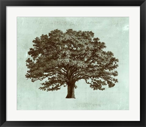 Framed Spa Tree I Print