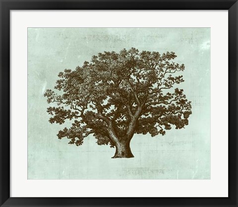 Framed Spa Tree IV Print