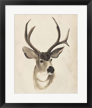 Framed Watercolor Animal Study II Print