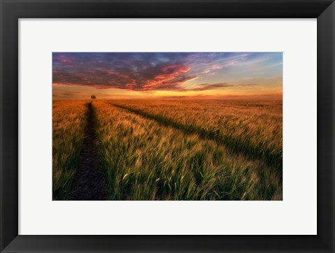 Framed Somewhere At Sunset Print