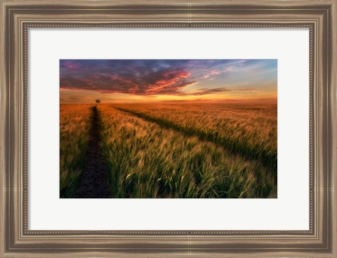 Framed Somewhere At Sunset Print