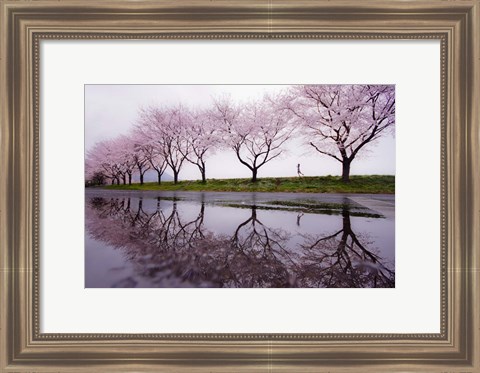 Framed Rain of Spring Print