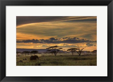 Framed Africa Print