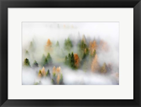 Framed Autumn Dream Print