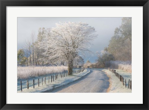 Framed Frosty Morning Print