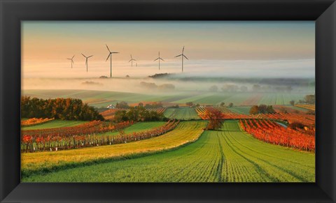 Framed Autumn Atmosphere In Vineyards Print