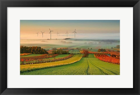 Framed Autumn Atmosphere In Vineyards Print