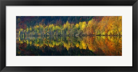 Framed Autumnal Silence Print