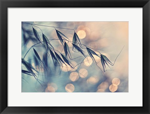 Framed Sun Spots Print