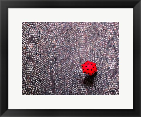 Framed Urban Ladybug Print