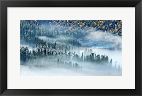 Framed Magic Bay Print