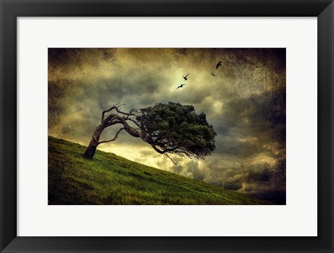 Framed Winds of Change Print