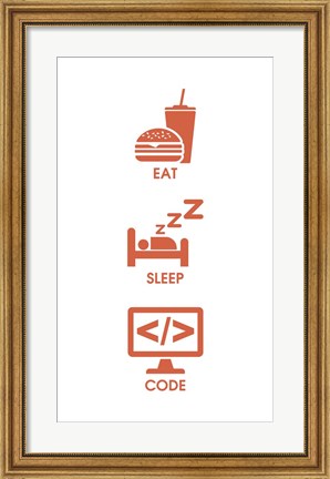 Framed Eat Sleep Code - Orange Icons Print