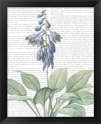 Framed Summer Botanicals II Print