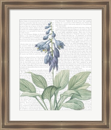 Framed Summer Botanicals II Print