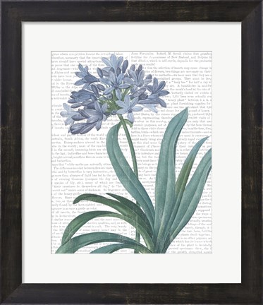 Framed Summer Botanicals I Print