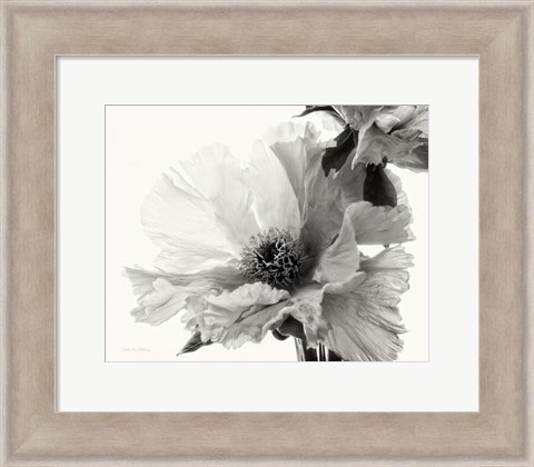 Framed Translucent Peony V BW Print