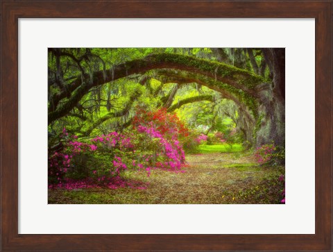 Framed Magnolia Gardens Print