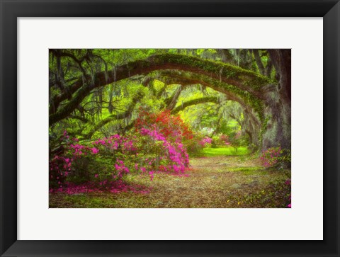 Framed Magnolia Gardens Print