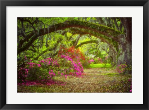 Framed Magnolia Gardens Print