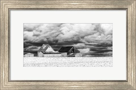 Framed Five White Barns Print