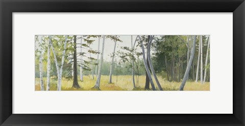 Framed Birch Field Print