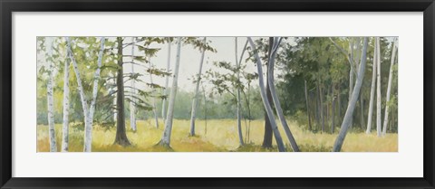 Framed Birch Field Print