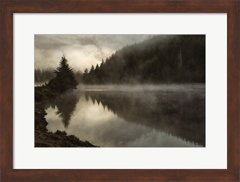 Framed Coos Fog Print